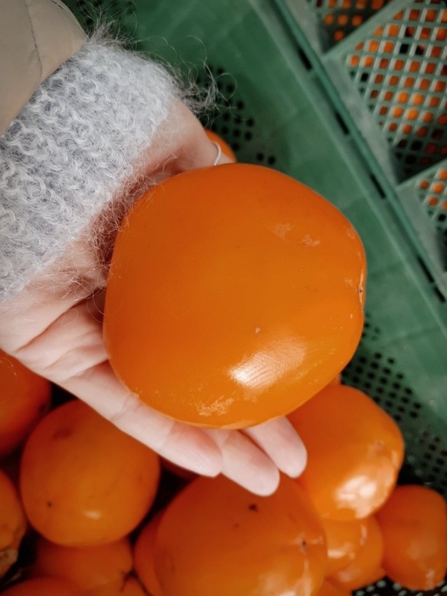 고종시 지리산 감말랭이 (시즌 한정 상품)