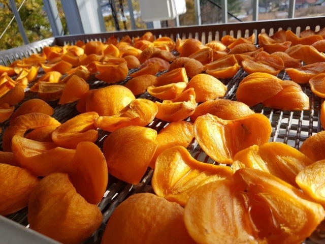 고종시 지리산 감말랭이 (시즌 한정 상품)