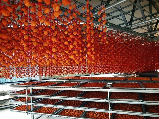 고종시 지리산 감말랭이 (시즌 한정 상품)