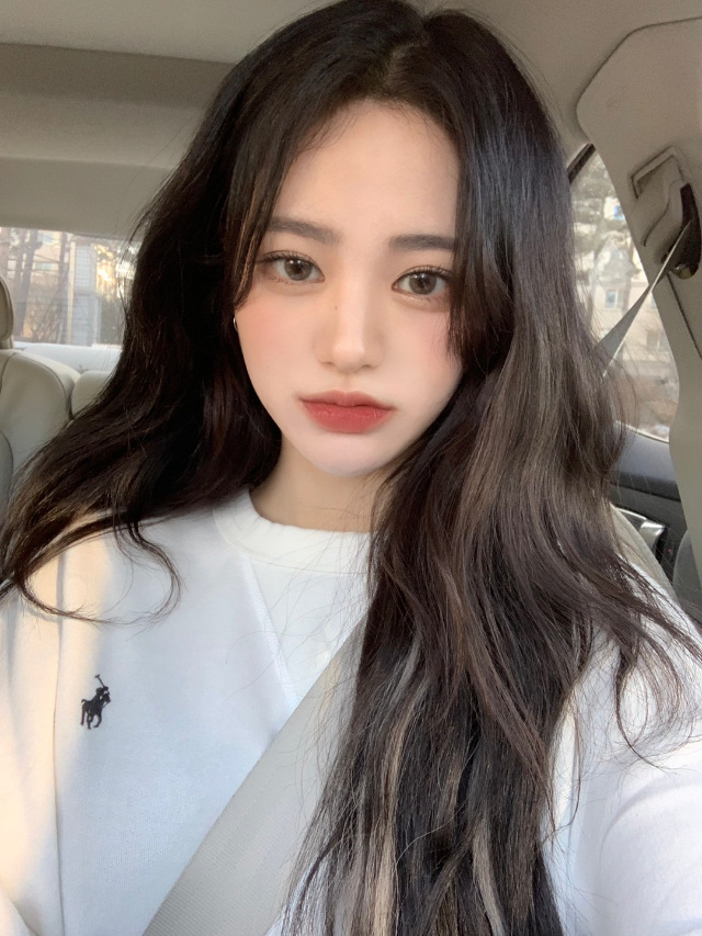 [Polo] 남녀공용 기모 맨투맨