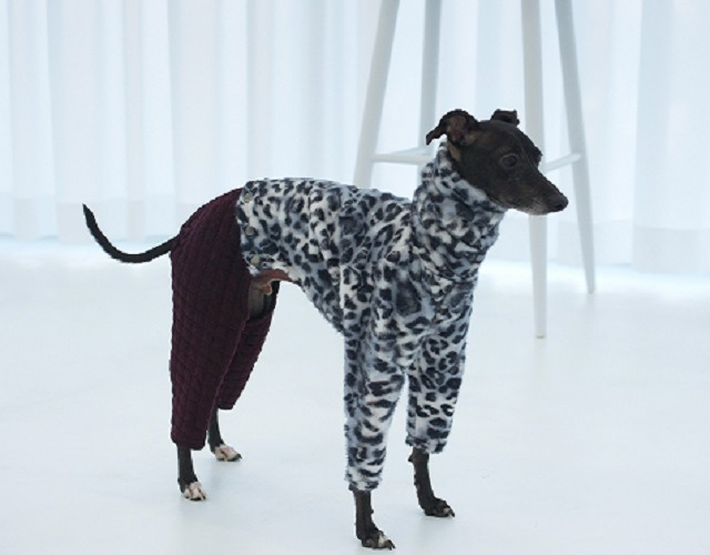 [노이] 고쟁이 호피투피스올인원 아이쥐옷 이탈리안그레이하운드옷 아이쥐올인원 