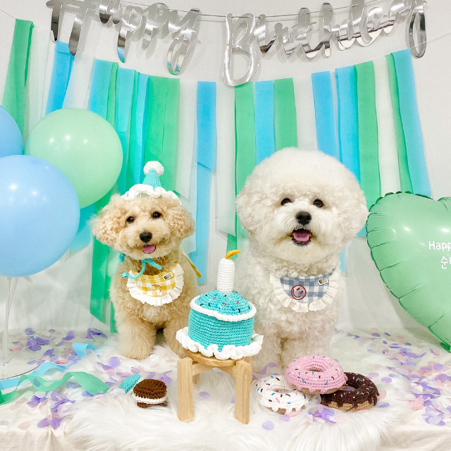 강아지 고양이 생일파티 생일모자 고깔모자 