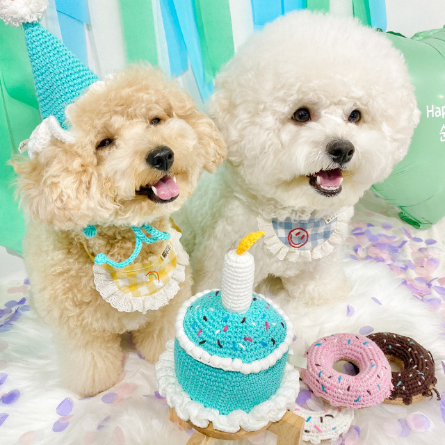 강아지 고양이 생일파티 생일모자 고깔모자 