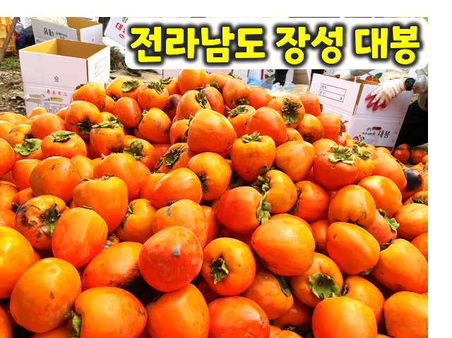 대천사가 키우고 청년들이 수확한 전라남도 장성 대봉 10KG
