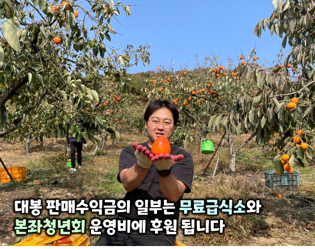 대천사가 키우고 청년들이 수확한 전라남도 장성 대봉 10KG