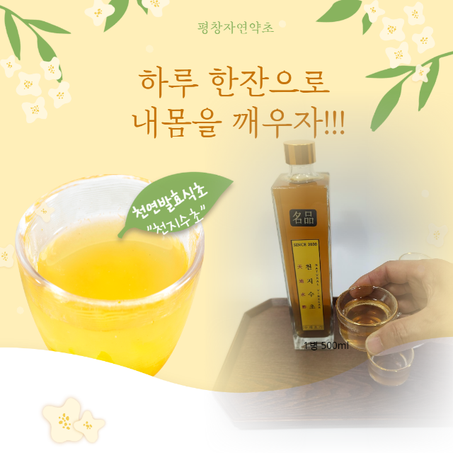 가벼운 하루의 시작 천지수초