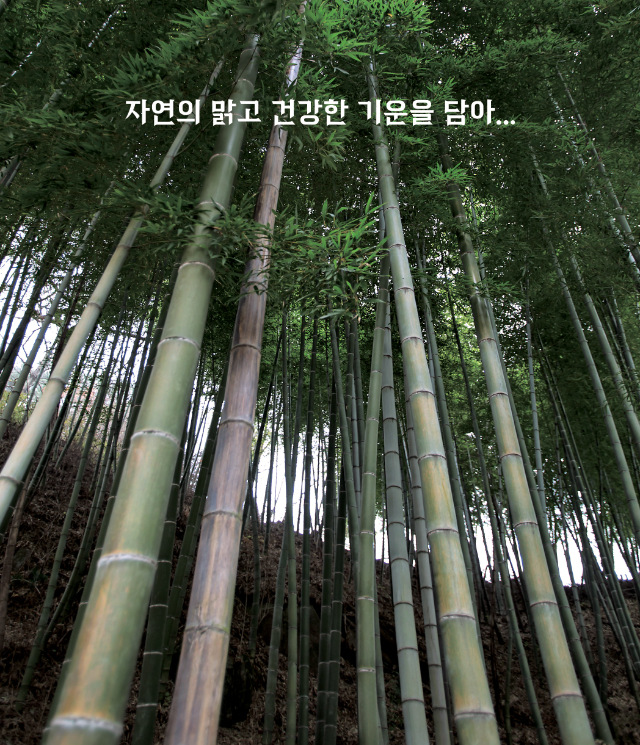인산가 9회죽염고체 240g 죽염본가 인산죽염