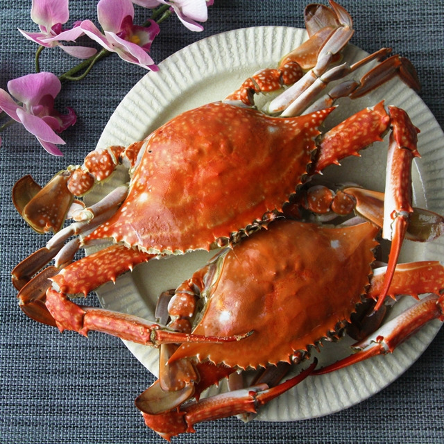 활) 제철 가을 톱밥꽃게 2kg