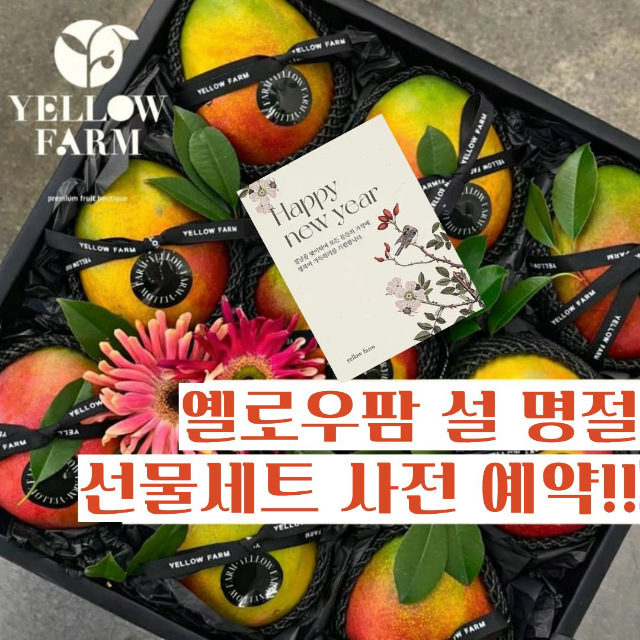 2026 옐로우팜 설날 프리미엄 과일선물세트