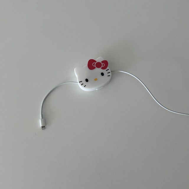 키티 케이블 케이스